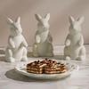 3D Easter Bunny Tray Silicone Mold Set Easter Rabbit Epoxy Resin Mold Cute Rabbit Holding Tray Plate Concrete Craft Decoration