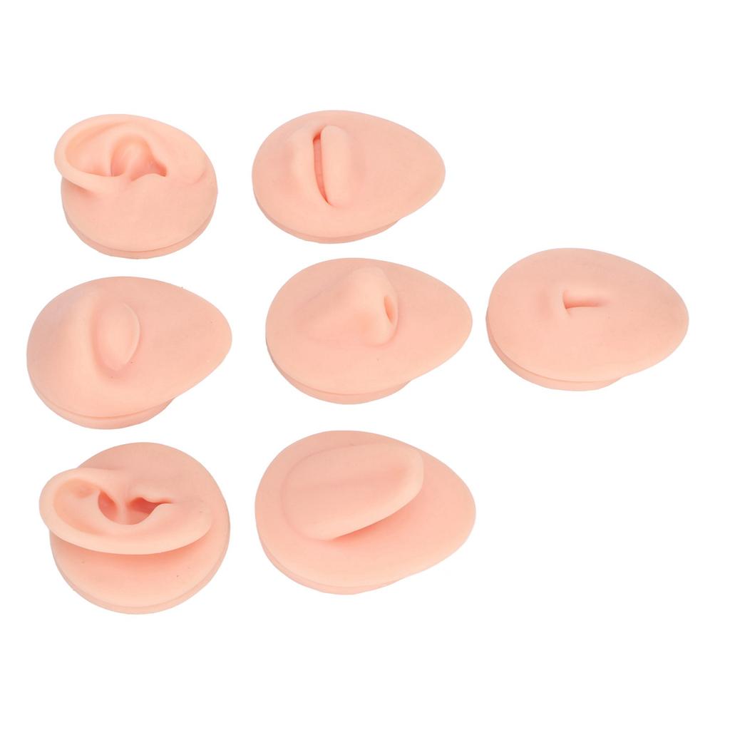 Silicone Body Part Model Soft Silicone Ear Mouth Nose Eye Tongue Navel Model with Display Rack for Teaching Display