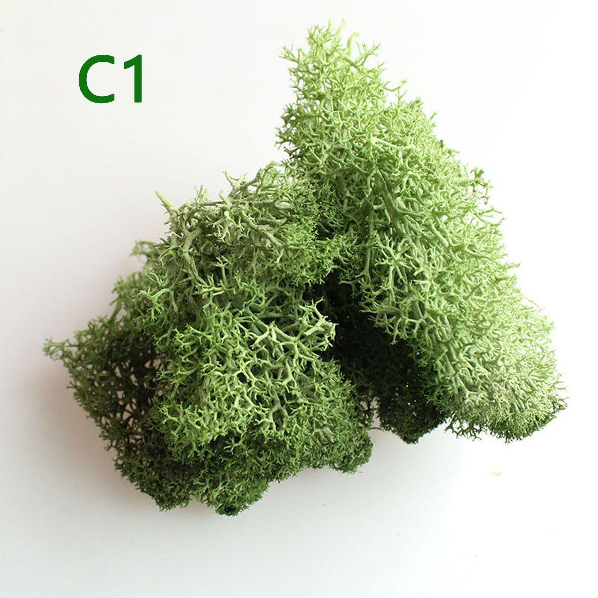 Christmas Decoration Home Decor Artificial plant Eternal Life Moss Reindeer Moss Micro Landscape C1
