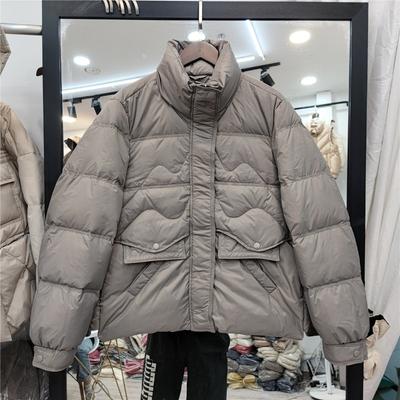 Winter New Stand-up Collar Down Jacket Women's Loose Warm Jacket Short