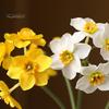Artificial Narcissus Flower 1 Bouquet Realistic Decorative Easy Care Simulation Yellow White Fake Home Decor