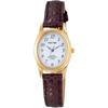 Citizen Q&Q Analog Solar Waterproof Watch with Leather Strap for Women White Brown