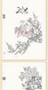 Baimiao Gongbi Flower Painting: Beginner's Guide & Tutorial for Self-Learners