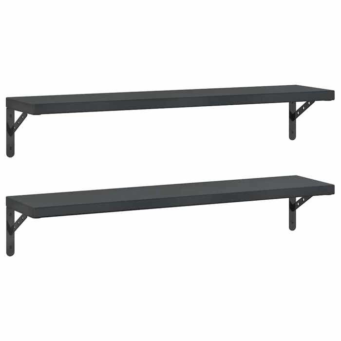 VidaXL Étagères murales 2 pcs 100x23,5 cm noir acier inoxydable, étagère flottante, étagère murale d'exposition, panneau 3214513
