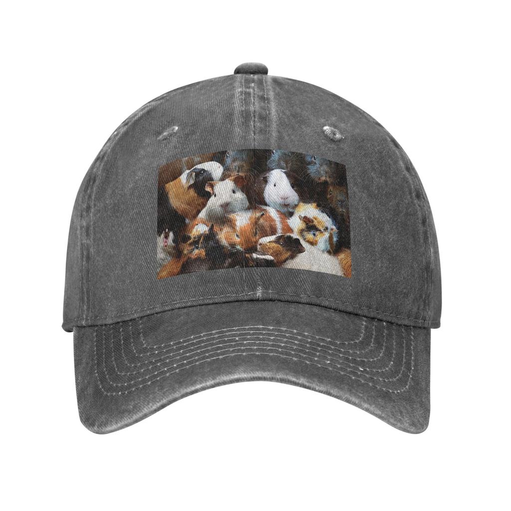 Guinea Pigs Baseball Caps Fashion Denim Hats Outdoor Adjustable Casquette Sports Baseball Cowboy Hat for Unisex Women