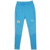 Puma Manchester City Training Pants