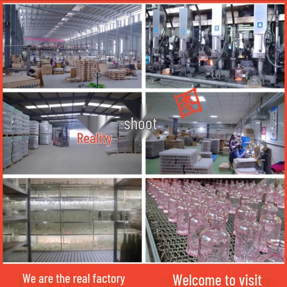 Lucky Bamboo Straight Glass Hydroponic Vase - Simple & Creative Micro Landscape Ornament