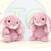 Jellycat Bonnie Rabbit Series Sweet Rabbit Cute Tulip Pink Doll Plush Doll 13cm Height