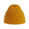 Atlantis Headwear Shore Beanie