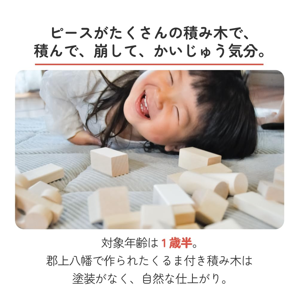 Sakai Made In Domestic Gujo Wooden Blocks with 48 Target 18 1 and a Half 2 3 Years Building Wooden Educational Large Baby Girls Sangyo, Japan,