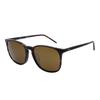 Ray-Ban Logo Square Sunglasses Unisex Sunglasses Tortoise RB4387F-902