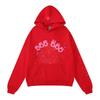 Sp5der Hoodie Unisex Oversized Cotton Pullover With Foil Letter Print Streetwear Sweatshirt Teens