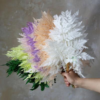 Konserviertes Farnblatt zur Heimdekoration, Ewiges Leben, Natürliche Echte Farnpflanze, Handgefertigtes Blumenmaterial, Hochzeit, Zuhause, 5 Stück, 10 Stück
