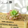 1 st Härliga Konstgjorda Suckulenter Växter för DIY Hem Trädgårdsdekoration Bröllopsväxter Väggblomsterarrangemang Bonsai Falsk Växt