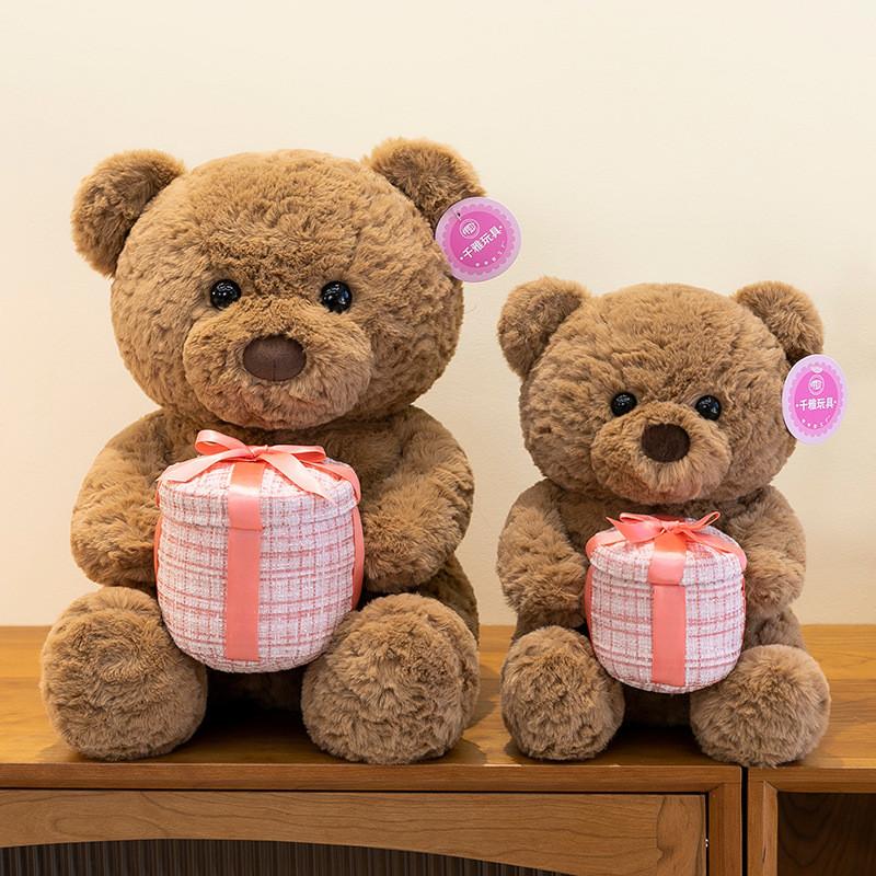 Bear Doll Gift Birthday Teddy Bear Cute Pillow Doll For Girlfriend Day Valentine