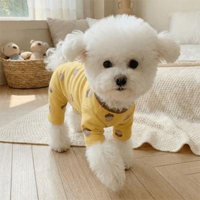 Bekleidung & Schuhe – Hundeoveralls