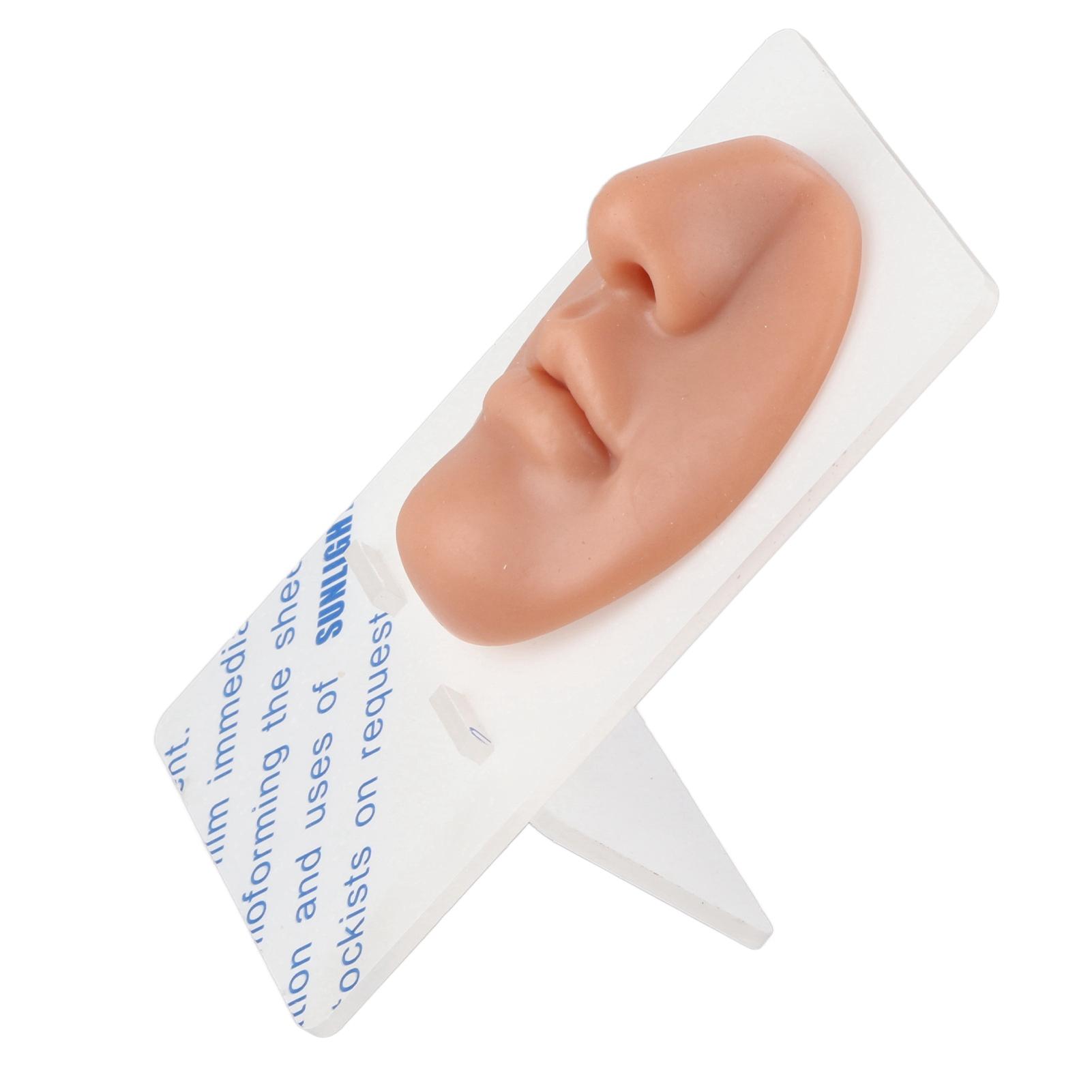 

Silicone Mouth Nose Model 3D Realistic Reusable Display Nose Piercing Practice Model White кофейный
