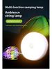 Multifunctional Solar Camping String Lights: Colorful Festival & Atmosphere Tent Lighting