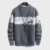 Men's Autumn/Winter Gold Mink Double-Sided Velvet Sweater - Thick Knit, Round Neck, Korean Style