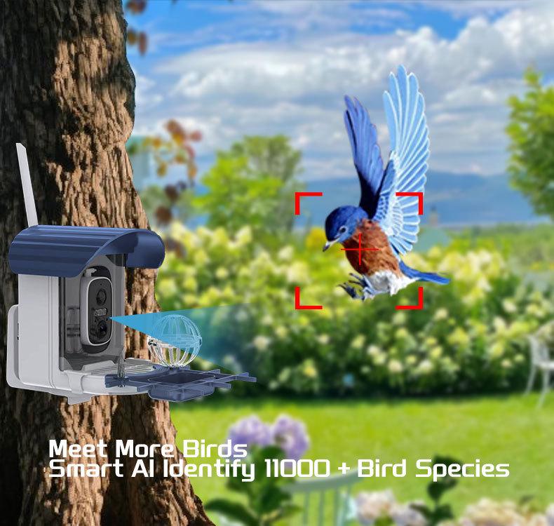 Solar-Powered Hummingbird Feeder with Camera & Remote Control