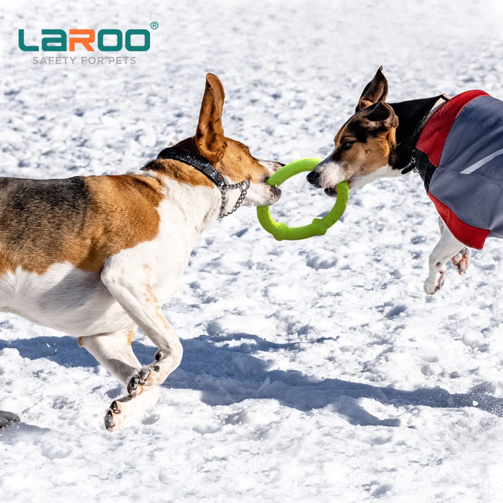 LaRoo Teddy Hund Dental Kauspielzeug Langlebig für Kleine Runde Frisbee 18cm Stressabbau und Mittel für Haustierintelligenz Schwimmendes Trainingsspielzeug, Hunde,