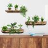 Self-Adhesive Wall Decal Plant Pot Holder for Bedroom & Living Room Decoration