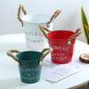 Metal Mini Flower Pots & Pen Holder - Succulent Planter & Home Crafts Storage Bucket