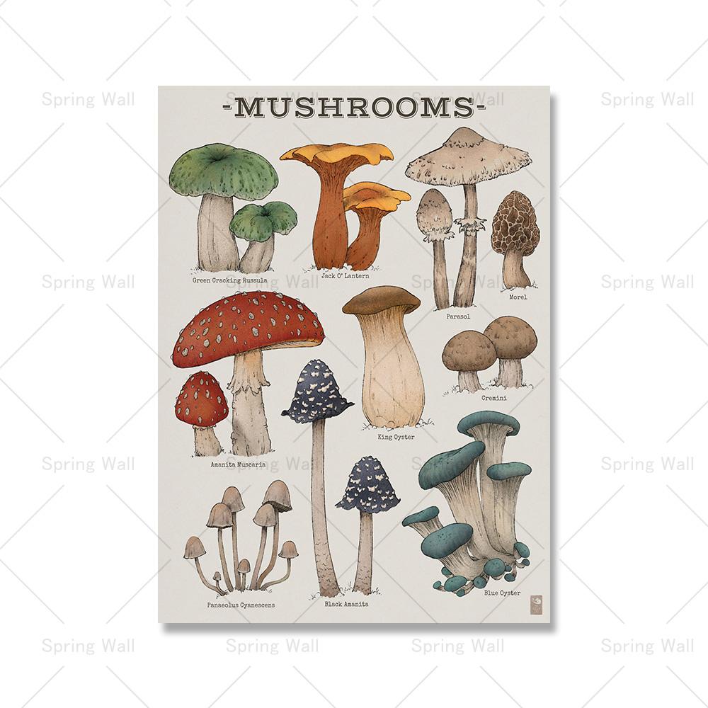 

Лесные грибы, ботанические абстрактные постеры, принты, настенная живопись на холсте, скандинавская современная кухонная картина для декора гостиной 30x40cm No Framed
