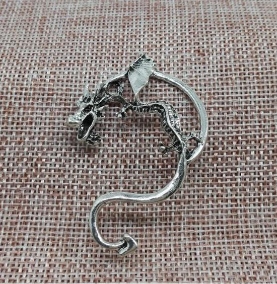 

Серьги в стиле ретро-готики-панка с драконом в смелом стиле серебряный