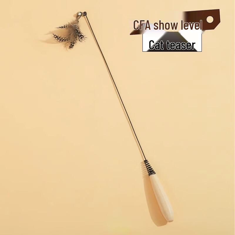 

Hoopet Cat Teaser Wand