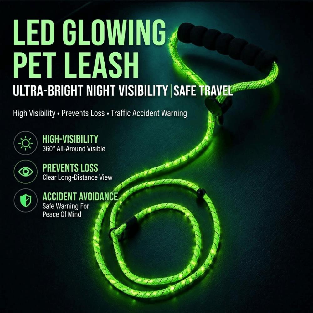 Guinzaglio Luminoso per Animali Domestici con Ricarica USB Super Luminoso LED Guinzaglio per Passeggiate con Cani Guinzaglio Illuminato Escursionismo Notturno