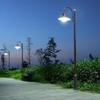 Liang Ming Jia 3m 30W Single-Head Garden Light Foundation