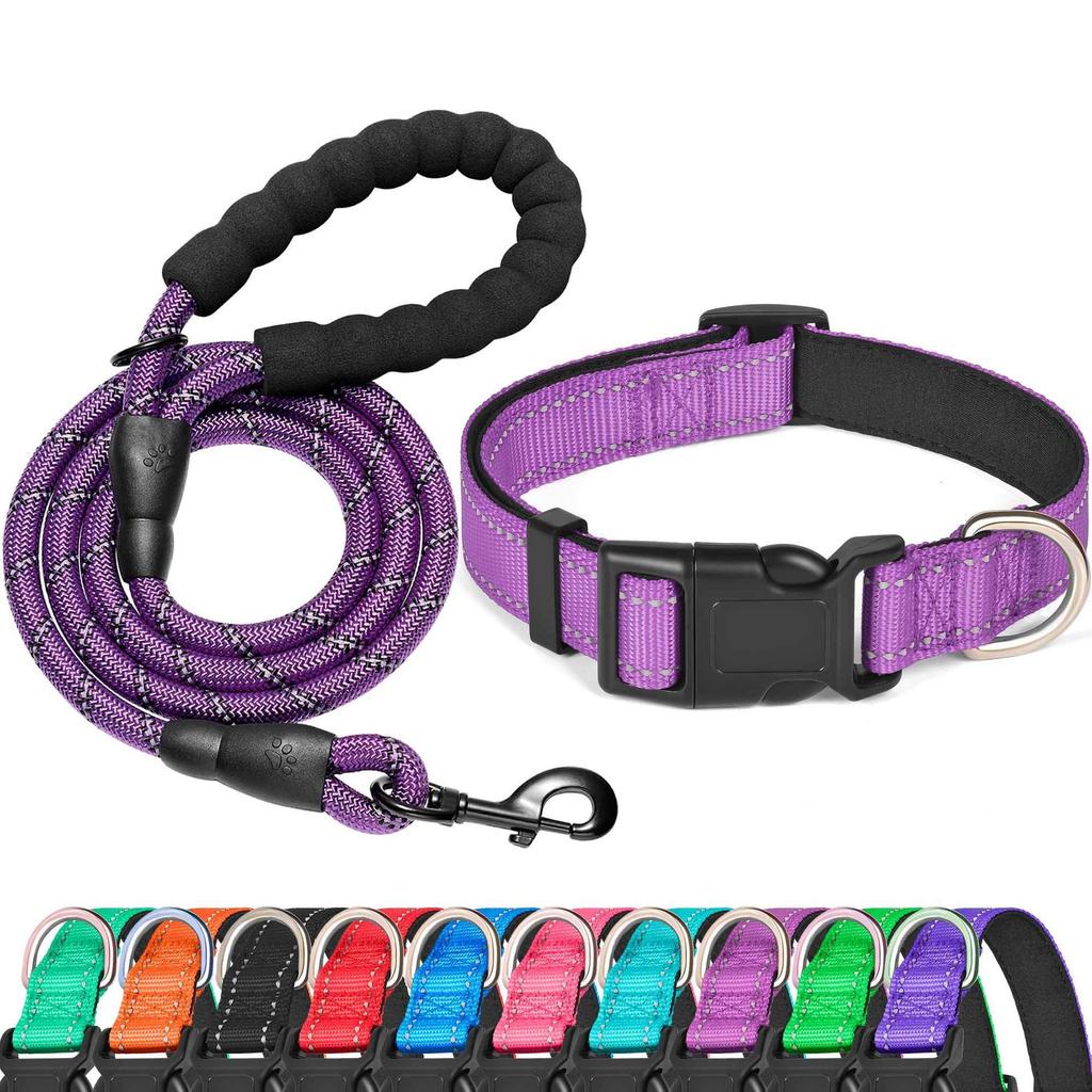 Durable Shock-Absorbing Dog Leash & Collar Set for Medium and Large Dogs - Anti-Pull, Safe & Comfortable