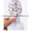 20cm Acupoint Facial Massage Model for Traditional Chinese Medicine Teaching