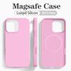 Original For Magsafe Liquid Silicone Phone Case For iPhone 17 16 14 15 Plus 13 Pro Max Case Wireless Charge Magnetic Soft Cover