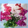 Flowers Bougainvillea Artificial Plum Blossom Stems For Decor Commercial