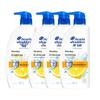 Head & Shoulders Anti-Dandruff Refreshing Oil Control Shampoo