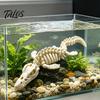 Fische & Meerestiere – Aquarien-Einrichtung