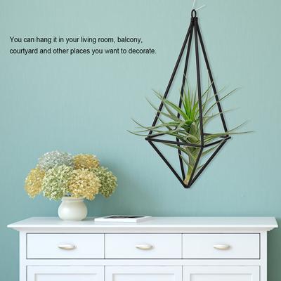 Supporto Piante Quadrilatero con Rastrelliera per Tillandsia per Decorazione Stanza(Nero)