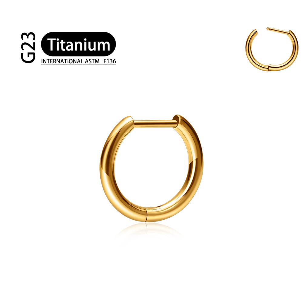 G23 Titanium Piercing 16G/18G 8/10/12mm Nose Ring D Shape Segment Ring Clicke Cartilage Tragus Helix Lip Piercing Body Jewelry