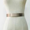 European and American Trendy Women's Metal Iron Belt Waist Seal Decorative Skirt Fashionable Mirror Waist Chain 2.0cm and 3.5cm