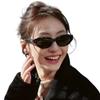 FEISEDY Polarized Sunglasses Womens Cat Eye UV400 UV Protection Fashion Driving Fishing Hiking Shopping Travel Small Face B1334