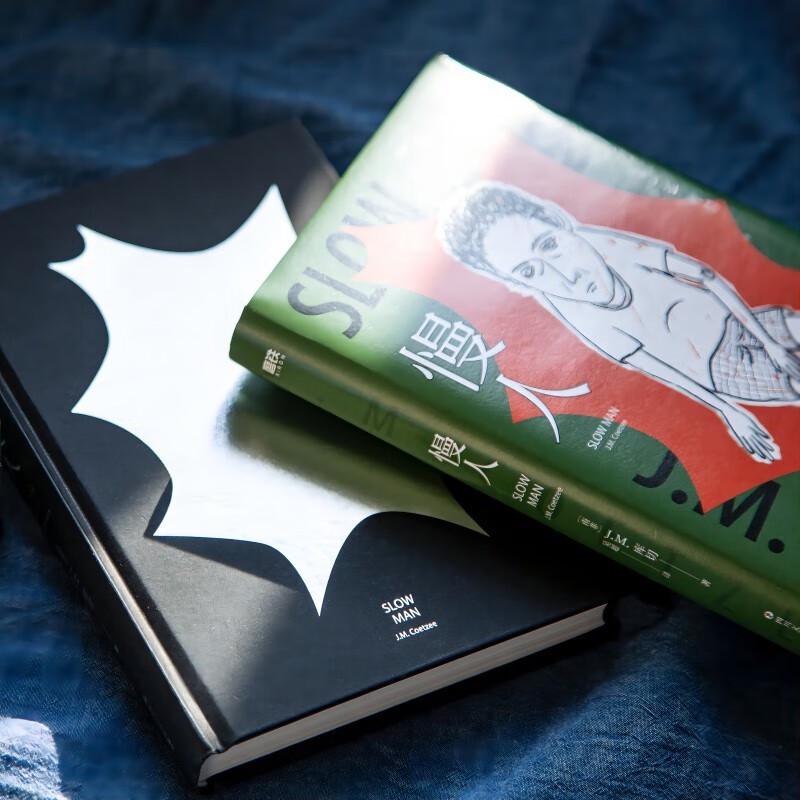 Moral Tales: Short Stories by J.M. Coetzee