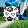 1PC Royal Emblem Eagle Symbol Badge Soccer Ball Size 5 Football Machine Sewn Indoor/Outdoor Universal Football S44
