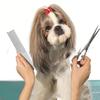 1pc Pet Metal Straightening Comb, Pet Grooming Detangling Brush, Dog Brush, Cat Brush, Electroplated Wide-Tooth Comb