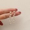 Banquet Protagonist Exquisite Daughter Flashing Zirconium Hollow Earrings Female Light Luxury Niche Exaggerated Earrings Temperament Unique Earrings