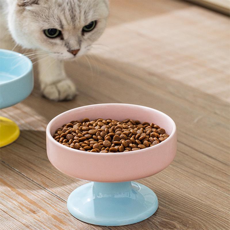 Ceramic Color-Blocked Pet Bowl Elevated Cat Bowl Protects Cervical Vertebrae Pet Supplies