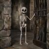 Halloween Party Supplies Posable Skeleton Decoration, 41 Inch Full Body Hanging Human with Movable Joint for Joints Yard Garden Porch Lawn Haunted