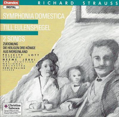 CD ICHARD STRAUSS: SYMPHONIA DOMESTICA - Richard Strauss: Symphonia Domestic CHAN8572 Chandos 1987 Non Japan Classical Used