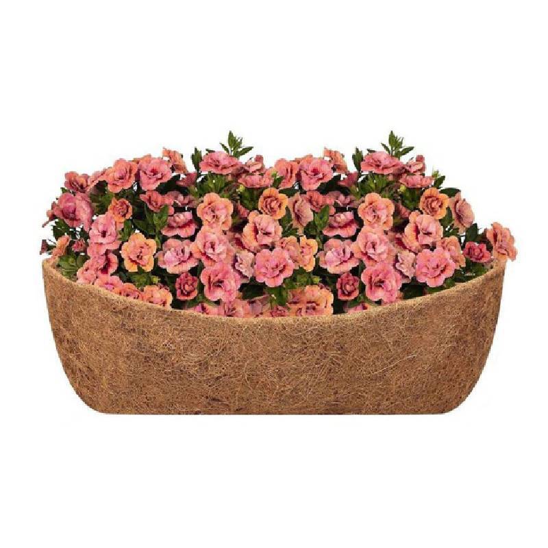 Modern Minimalist Plant Pot With Natural Coconut Coir Material For Home Gardening Decor